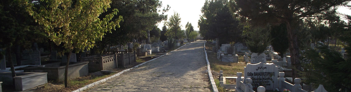 Büyükşehir