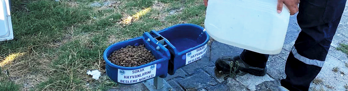 Sokak hayvanlarının yem ve su kabı boş kalmıyor