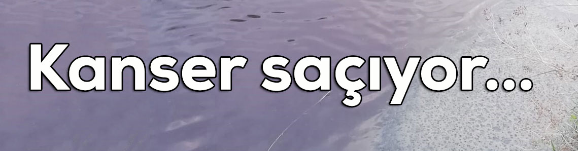 Ergene kanser saçmaya, can almaya devam ediyor