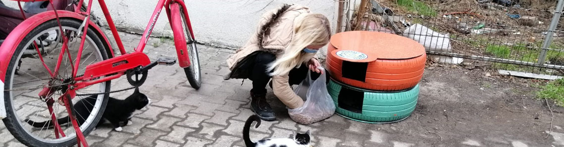 Eski oto lastikleri kedi evi olursa