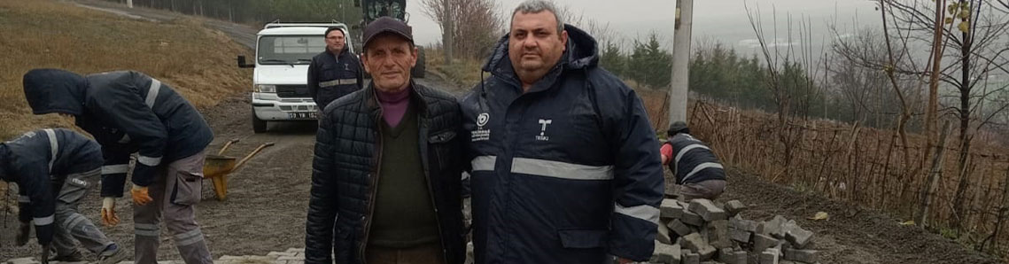 Yeşilsırt