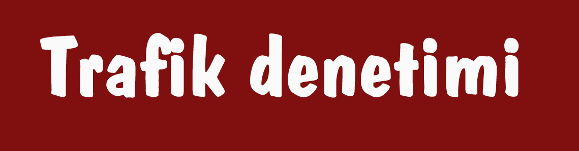 Okul servis araçlarına denetim