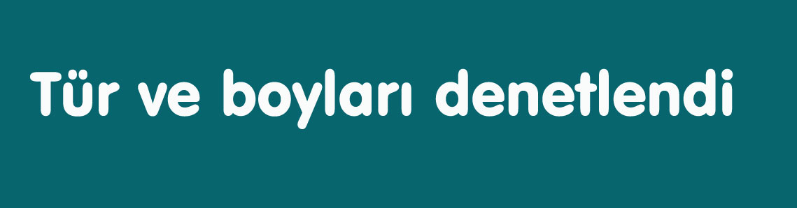 Perakende balık satış yerleri denetlendi