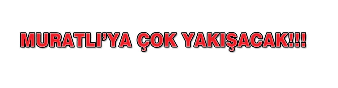 Metin Işık