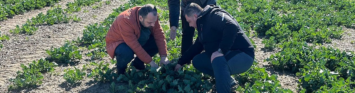 Muratlı Tarım ve Orman Müdürlüğü üç koldan