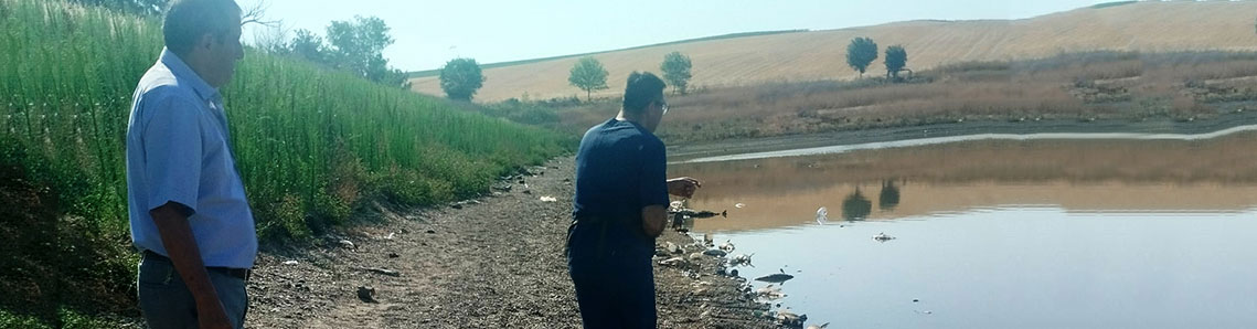 Yeşilsırt Göleti